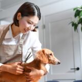 外耳炎のペットはトリミングできる？原因や予防策もあわせて解説