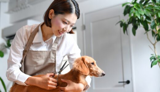 外耳炎のペットはトリミングできる？原因や予防策もあわせて解説