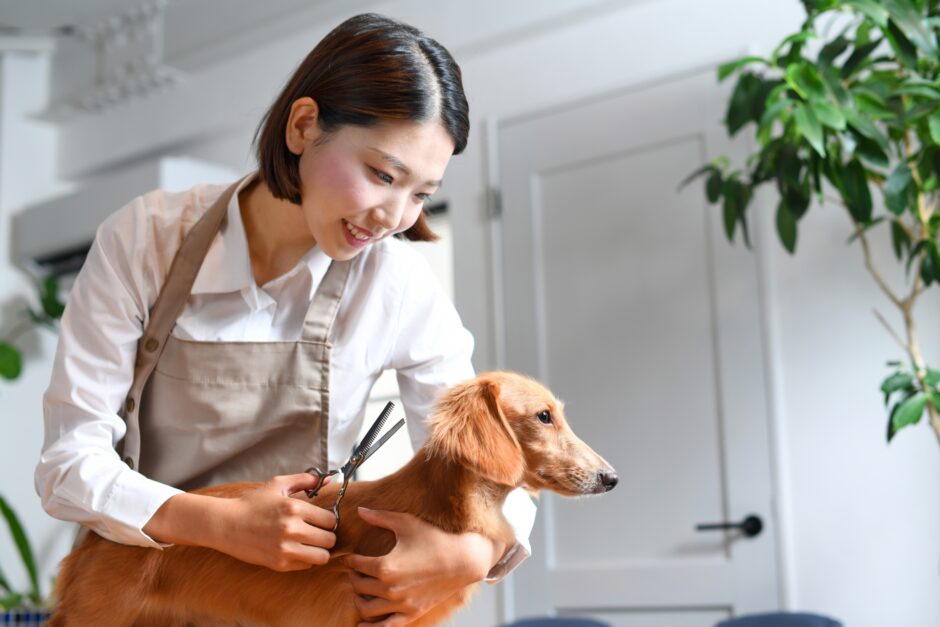 外耳炎のペットはトリミングできる？原因や予防策もあわせて解説