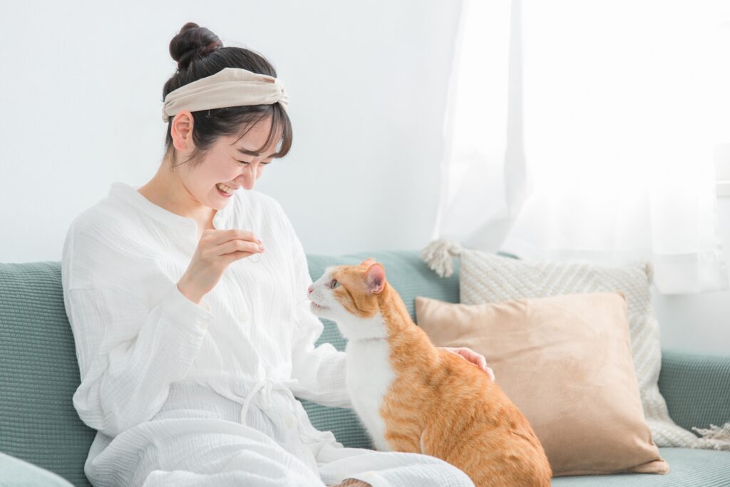 猫におやつをあげる日本人女性（餌）