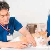 動物病院での予防医療が重要な理由｜受診のメリットや検診の流れも解説