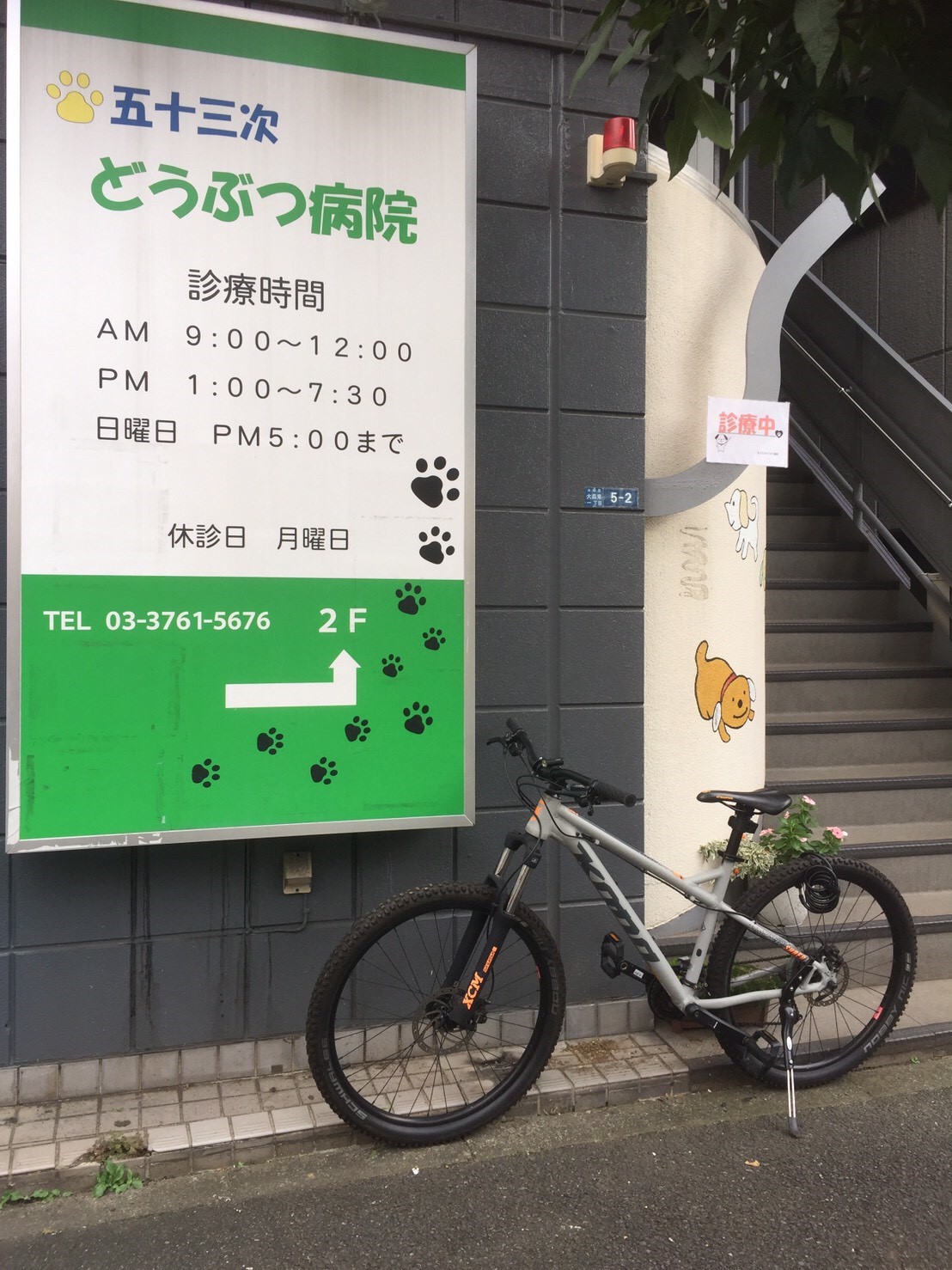 五十三次どうぶつ病院