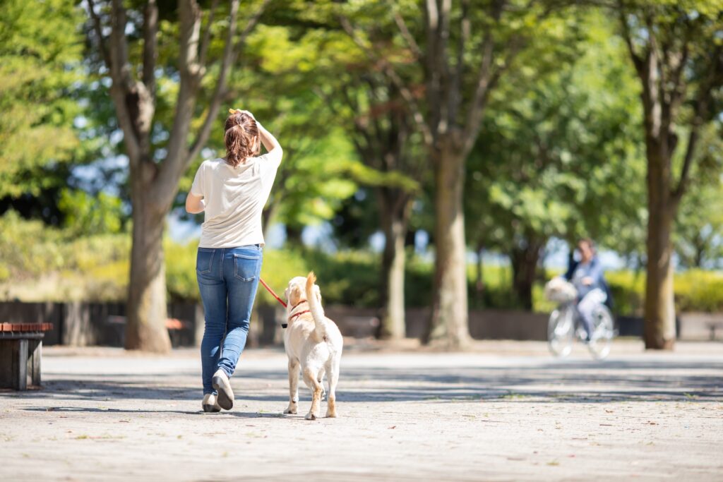 犬の散歩をする女性