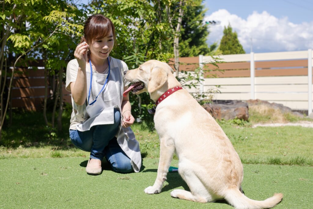 犬の世話をする女性