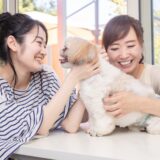 動物病院が行う栄養指導とは｜必要性と指導の流れ、費用相場を解説