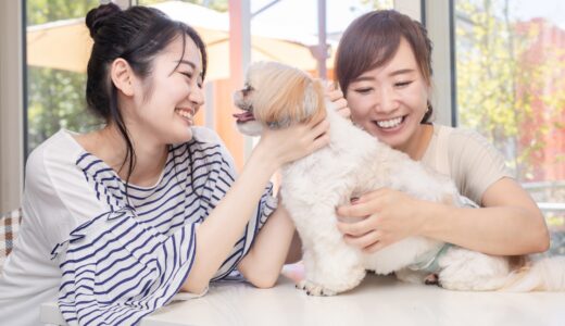 動物病院が行う栄養指導とは｜必要性と指導の流れ、費用相場を解説