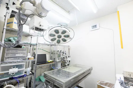 フジタどうぶつ病院はphoto