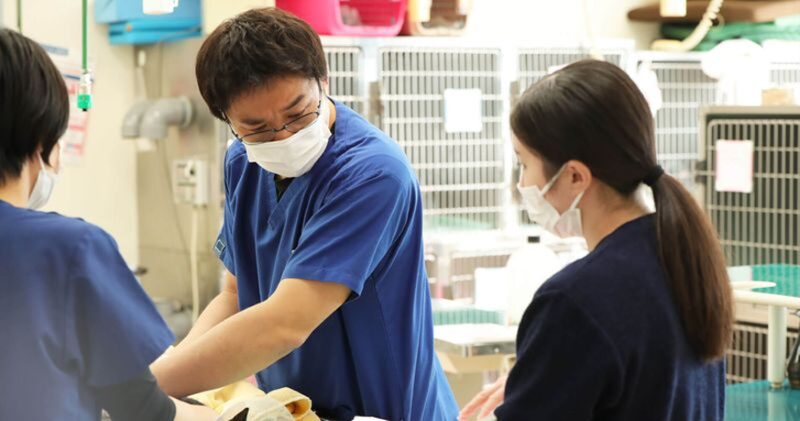 大野犬猫病院photo