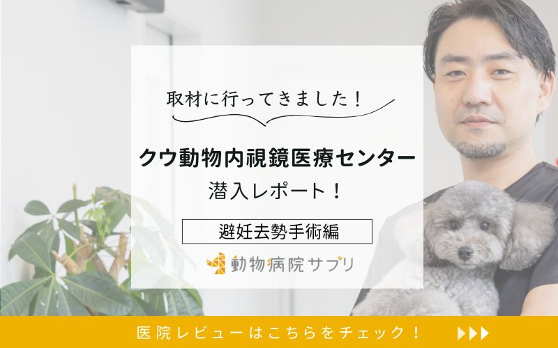 クウ動物内視鏡医療センター