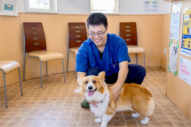 ハーモニー動物病院