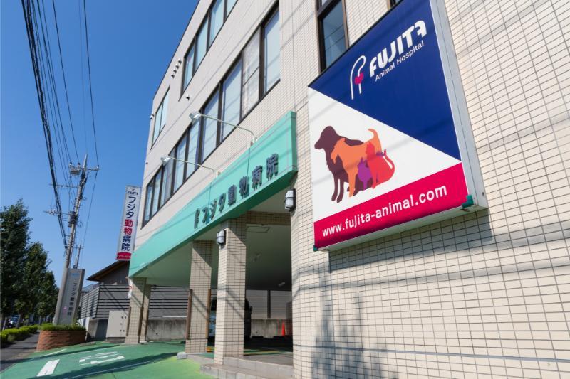 フジタ動物病院