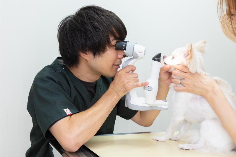 駅前通り動物病院