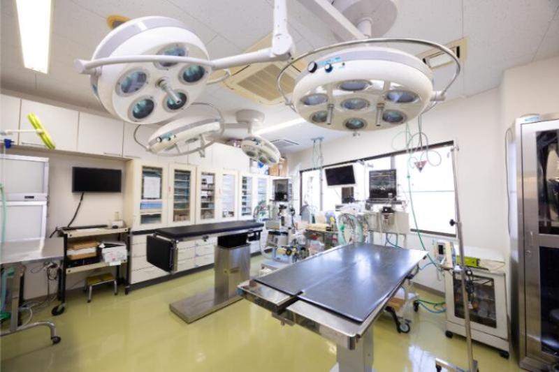 フジタ動物病院