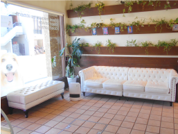 ひだまり動物病院