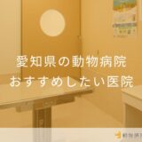【2025年】愛知県の動物病院 おすすめしたい6医院