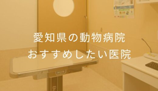【2025年】愛知県の動物病院 おすすめしたい6医院