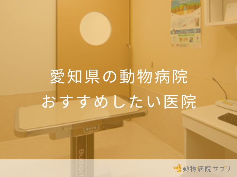 愛知県の動物病院 おすすめしたい医院
