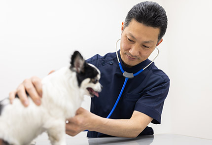大塚駅前どうぶつ病院 心臓メディカルクリニックphoto