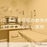【2025年】さいたま市見沼区の動物病院 おすすめしたい5医院