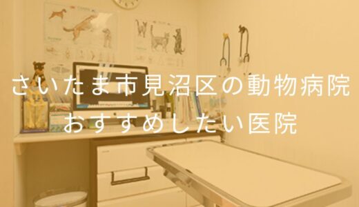 【2025年】さいたま市見沼区の動物病院 おすすめしたい5医院