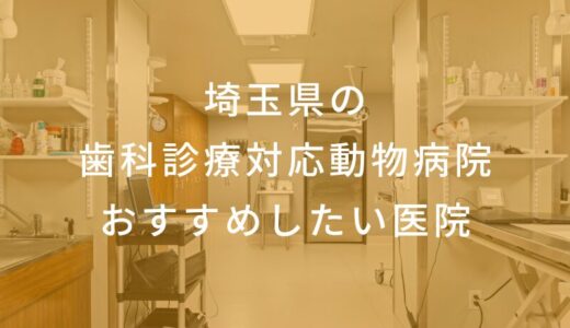 【2025年】埼玉県の歯科診療対応動物病院 おすすめしたい5医院