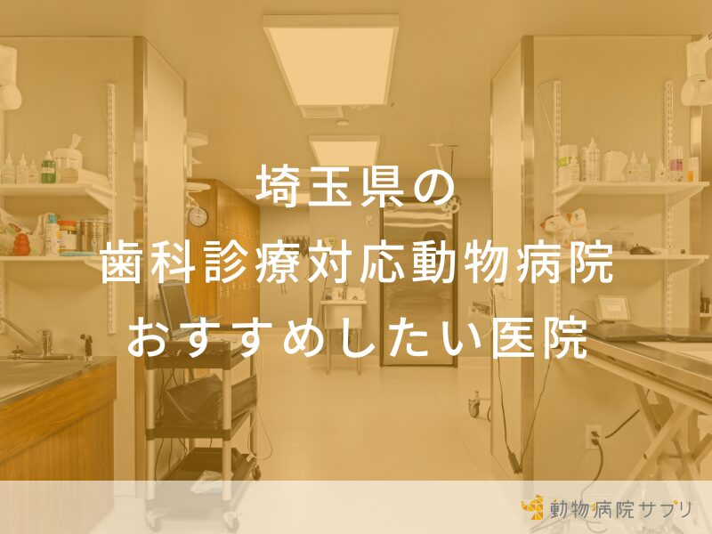 埼玉県の歯科診療対応動物病院 おすすめしたい医院