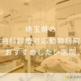 【2025年】埼玉県の歯科診療対応動物病院 おすすめしたい1医院