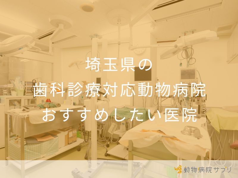 埼玉県の歯科診療対応動物病院 おすすめしたい医院