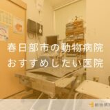 【2025年】春日部市の動物病院 おすすめしたい5医院