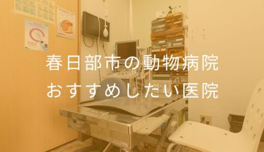 【2025年】春日部市の動物病院 おすすめしたい5医院