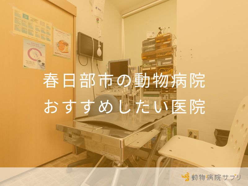 春日部市の動物病院 おすすめしたい医院