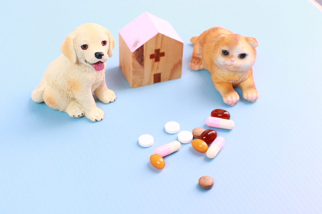 動物病院で薬だけもらうことはできる?