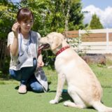 犬のしつけ教室は1ヶ月でも効果ある？効果を上げるポイントや注意点を解説