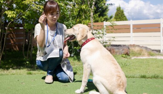 犬のしつけ教室は1ヶ月でも効果ある？効果を上げるポイントや注意点を解説