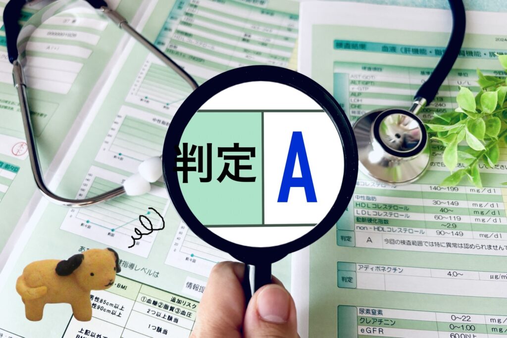 【動物病院の検診結果】結果の見方と活用方法
