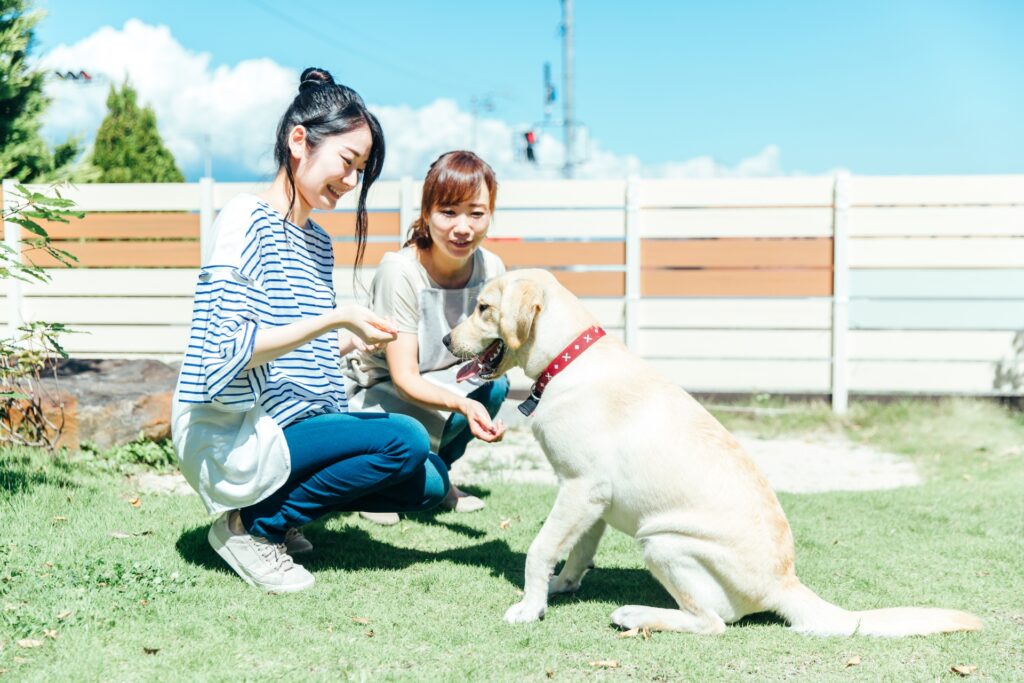 犬と飼い主