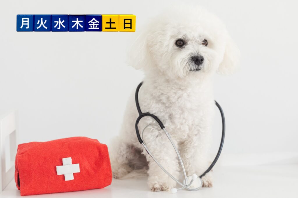 土日診療をしている動物病院の特徴と費用