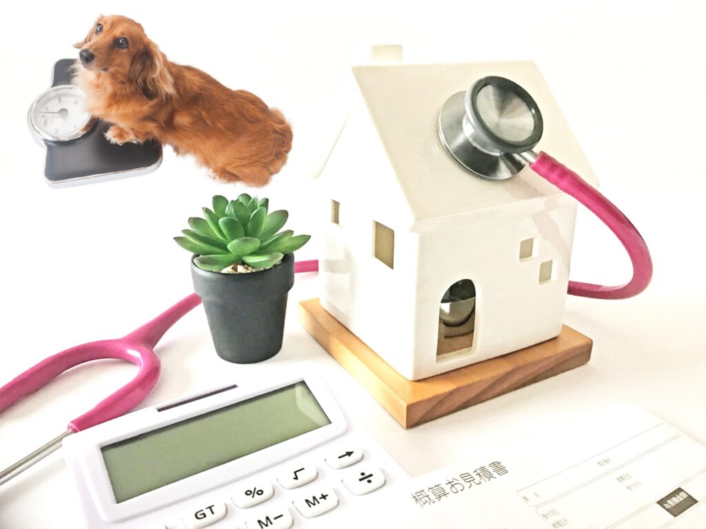 【動物病院の定期検診】検査内容と費用