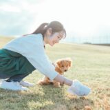 犬の便が黒いときに考えられる病気は？原因や受診タイミング、治療方法を解説