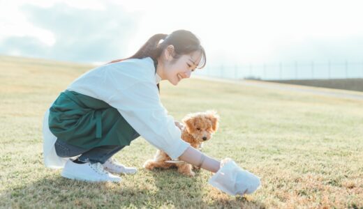 犬の便が黒いときに考えられる病気は？原因や受診タイミング、治療方法を解説