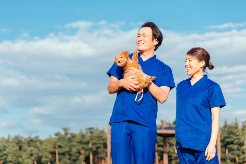 笑顔の獣医師と犬