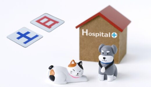 土日診療をしている動物病院の特徴や探し方、注意点などわかりやすく解説！