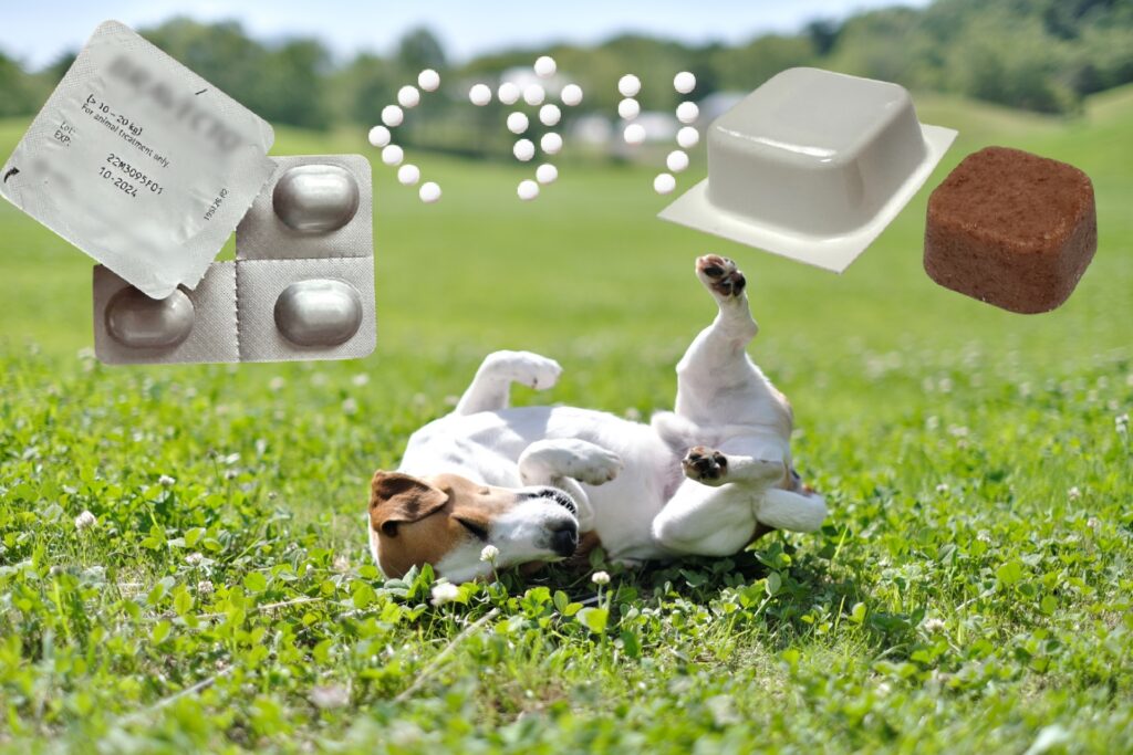 動物病院でノミ取りするメリットと注意点