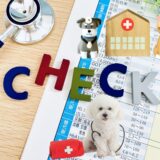 動物病院の定期検診の費用｜検査内容や結果の見方をわかりやすく解説