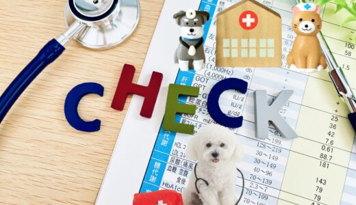 動物病院の定期検診の費用｜検査内容や結果の見方をわかりやすく解説