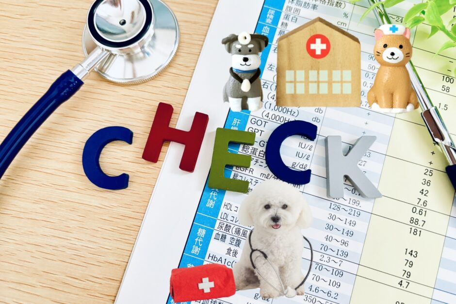 動物病院の定期検診の費用|検査内容や結果の見方をわかりやすく解説