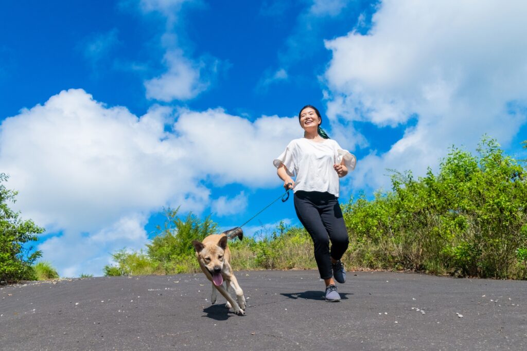 走る犬
