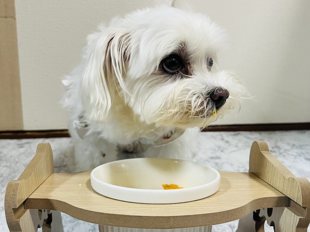 食事を拒絶