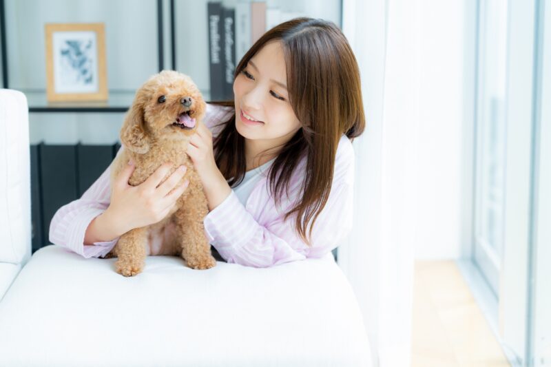飼い主と犬