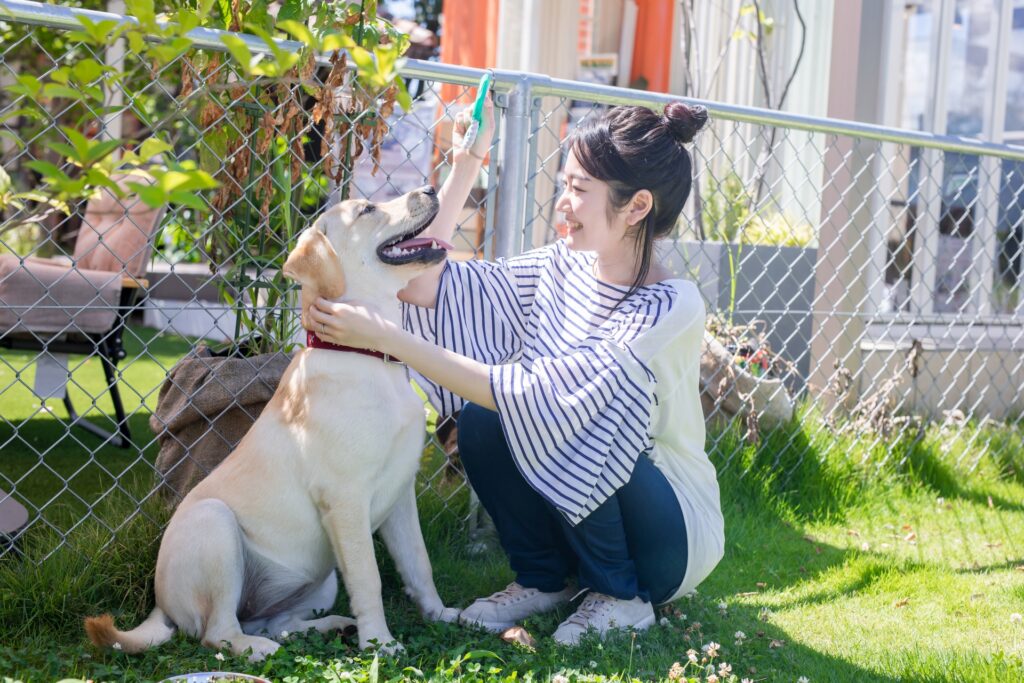 犬をなでる